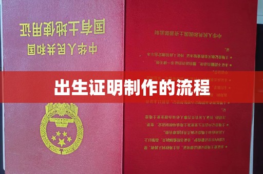 肇源出生证明制作的流程
