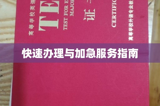 肇源快速办理与加急服务指南