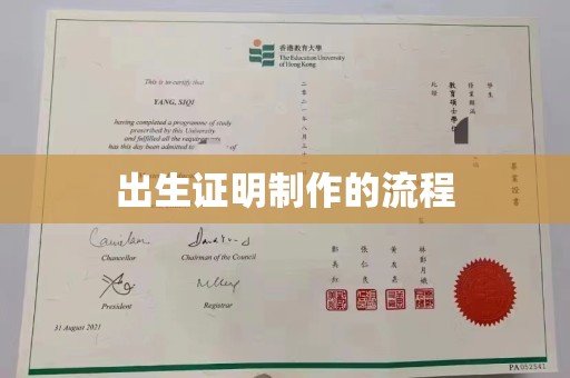 肇源出生证明制作的流程