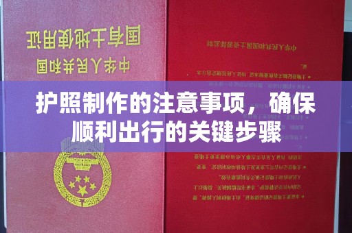肇源护照制作的注意事项，确保顺利出行的关键步骤