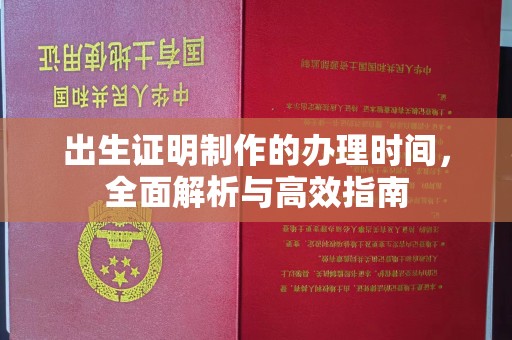 肇源出生证明制作的办理时间，全面解析与高效指南