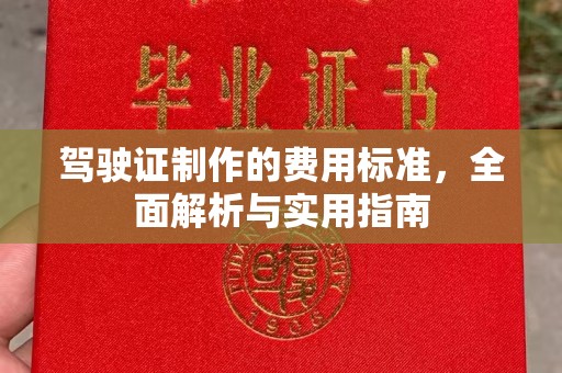 肇源驾驶证制作的费用标准，全面解析与实用指南