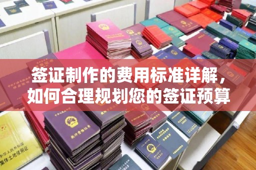 肇源签证制作的费用标准详解，如何合理规划您的签证预算