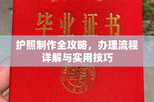 肇源护照制作全攻略，办理流程详解与实用技巧